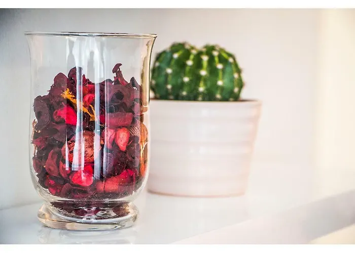 Idro Directly At The *