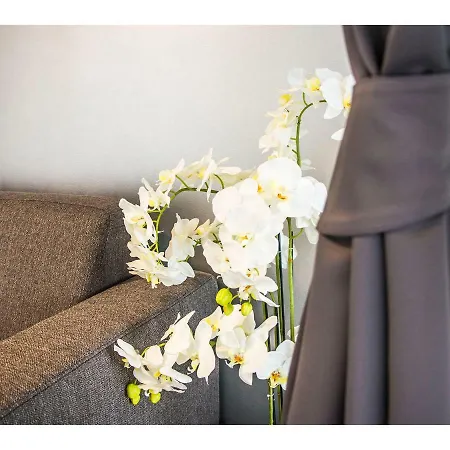 Idro Directly At The سبليت