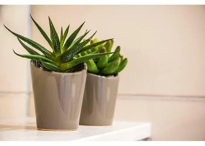 아파트 Idro Directly At The